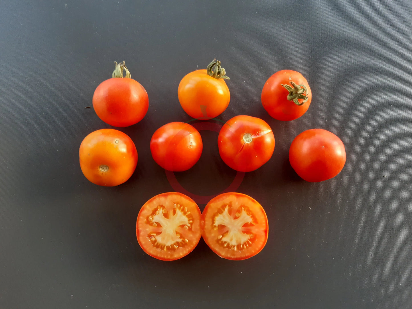 Pineapple Fog DER TOMATENFLÜSTERER