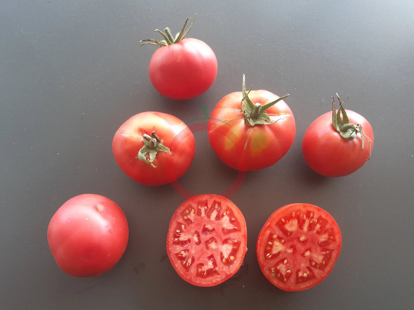 Pink Hippo DER TOMATENFLÜSTERER