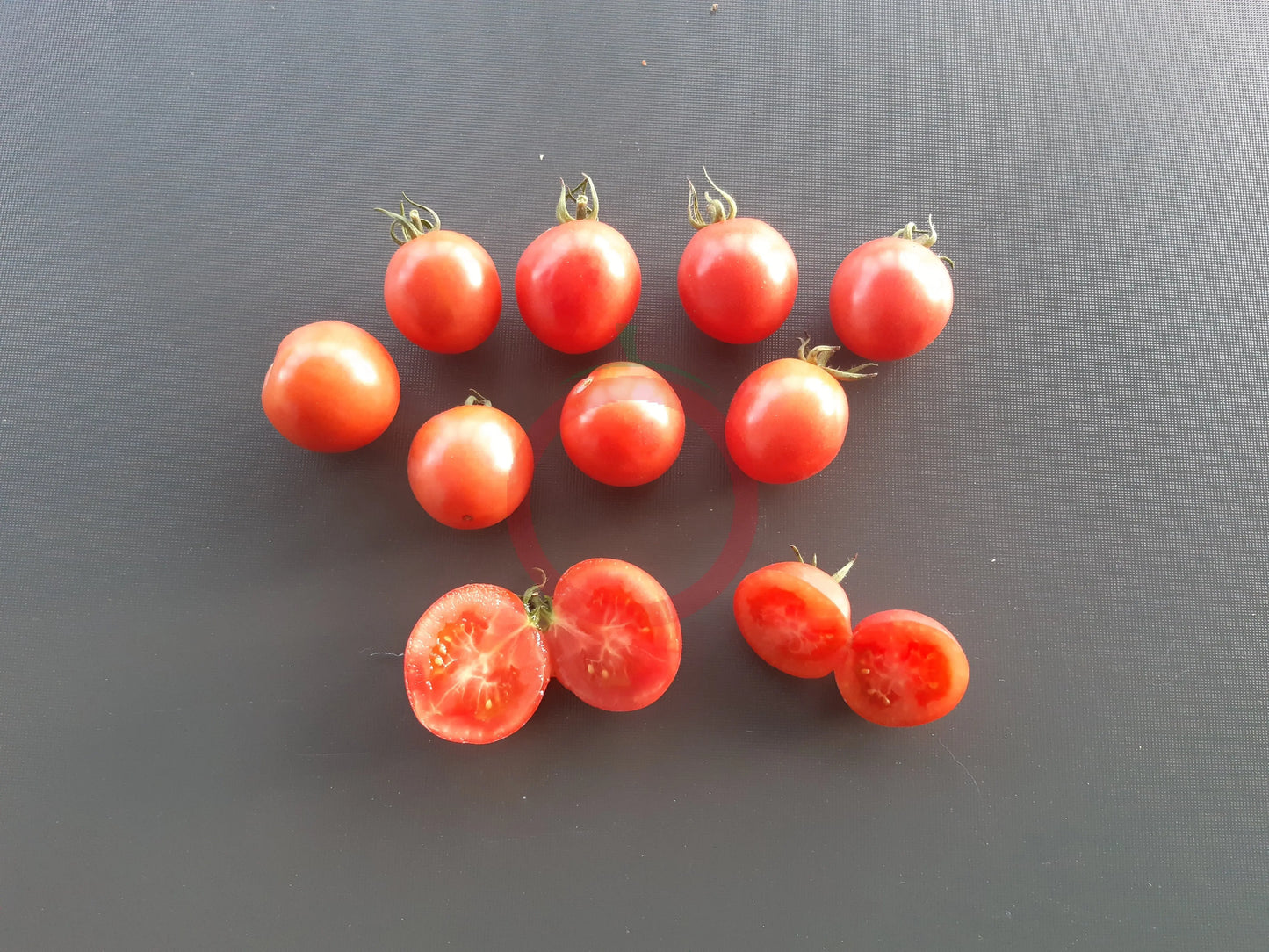 Pink Princess DER TOMATENFLÜSTERER