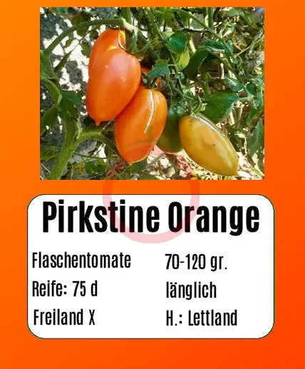 Pirkstine Orange DER TOMATENFLÜSTERER