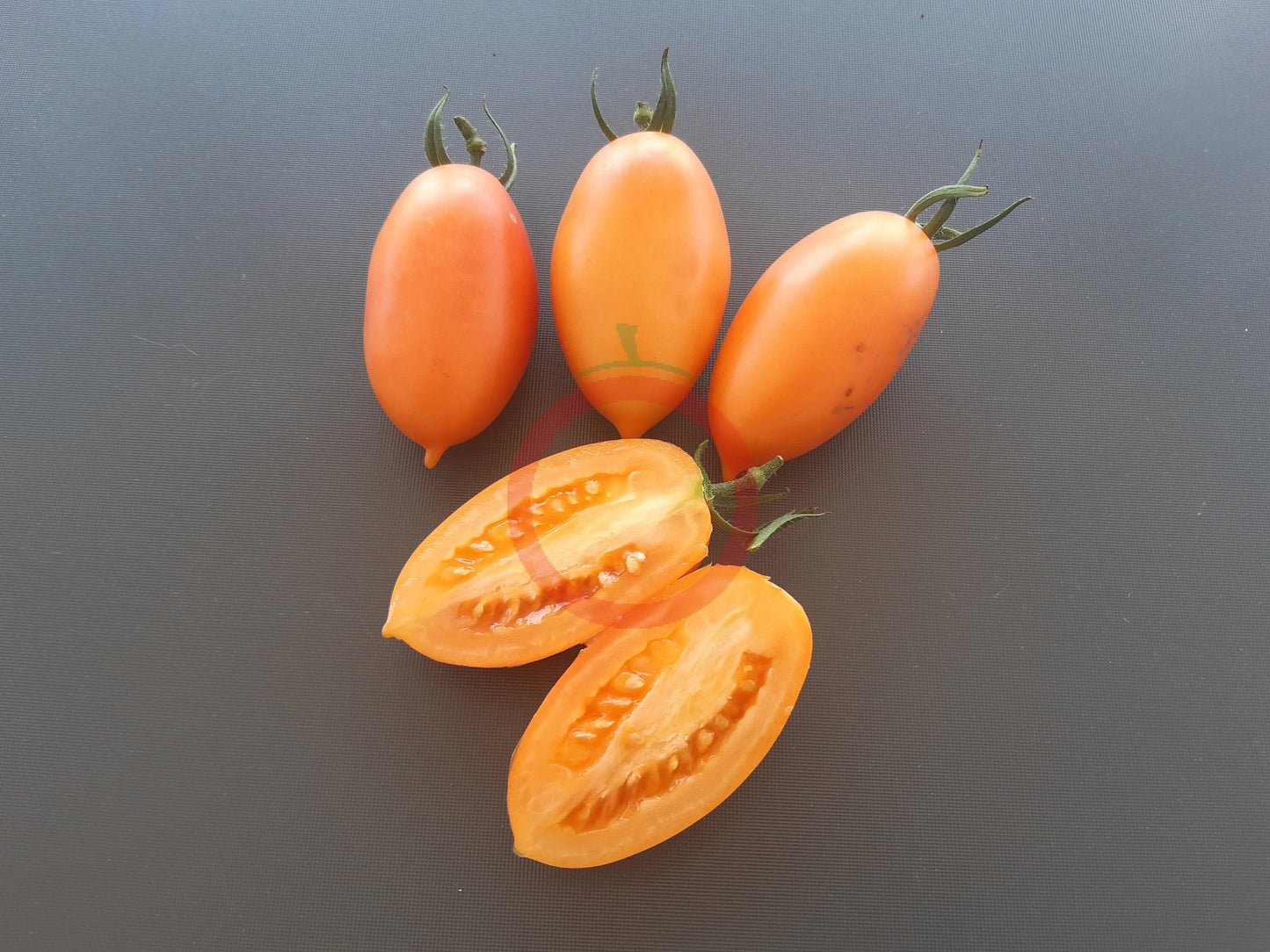 Pirkstine Orange DER TOMATENFLÜSTERER