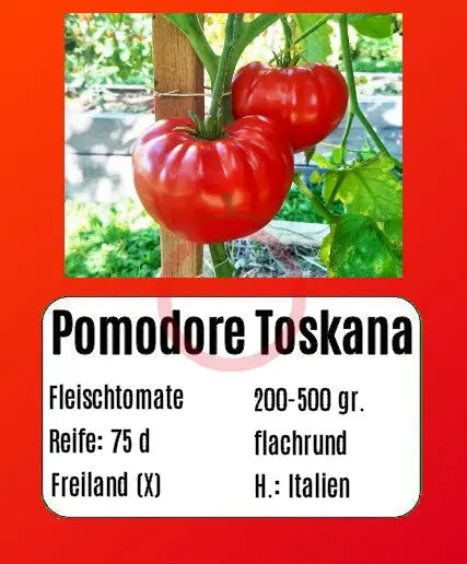 Pomodore Toskana DER TOMATENFLÜSTERER