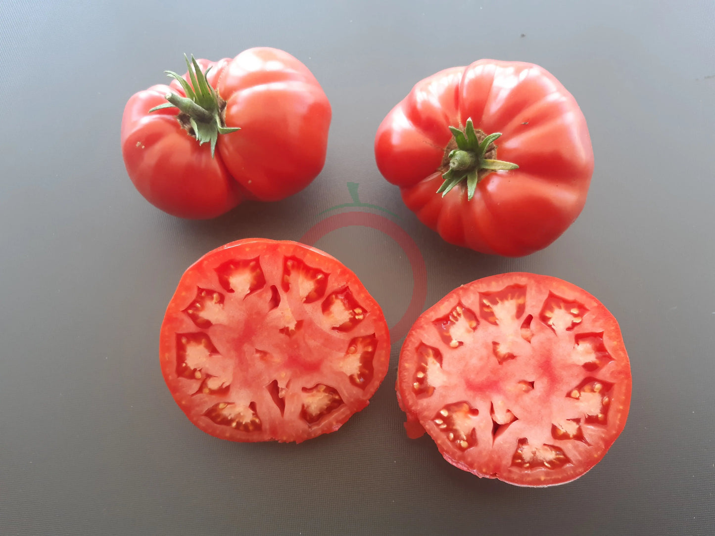 Pomodore Toskana DER TOMATENFLÜSTERER