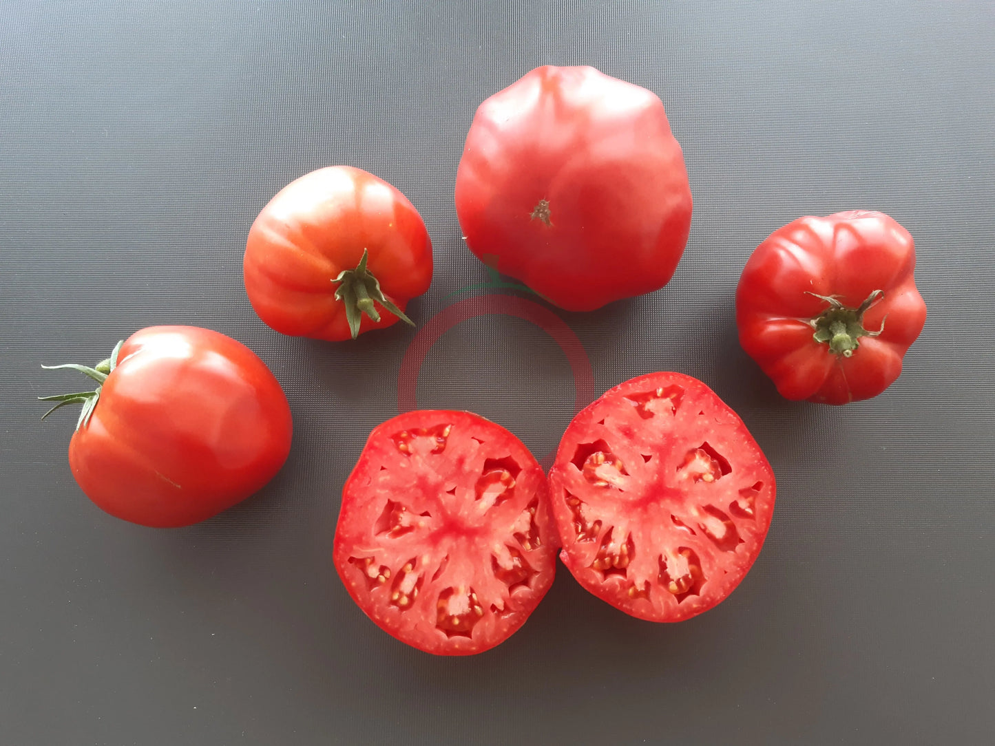 Pomodoro Gigante di Carbonara al Ticino DER TOMATENFLÜSTERER