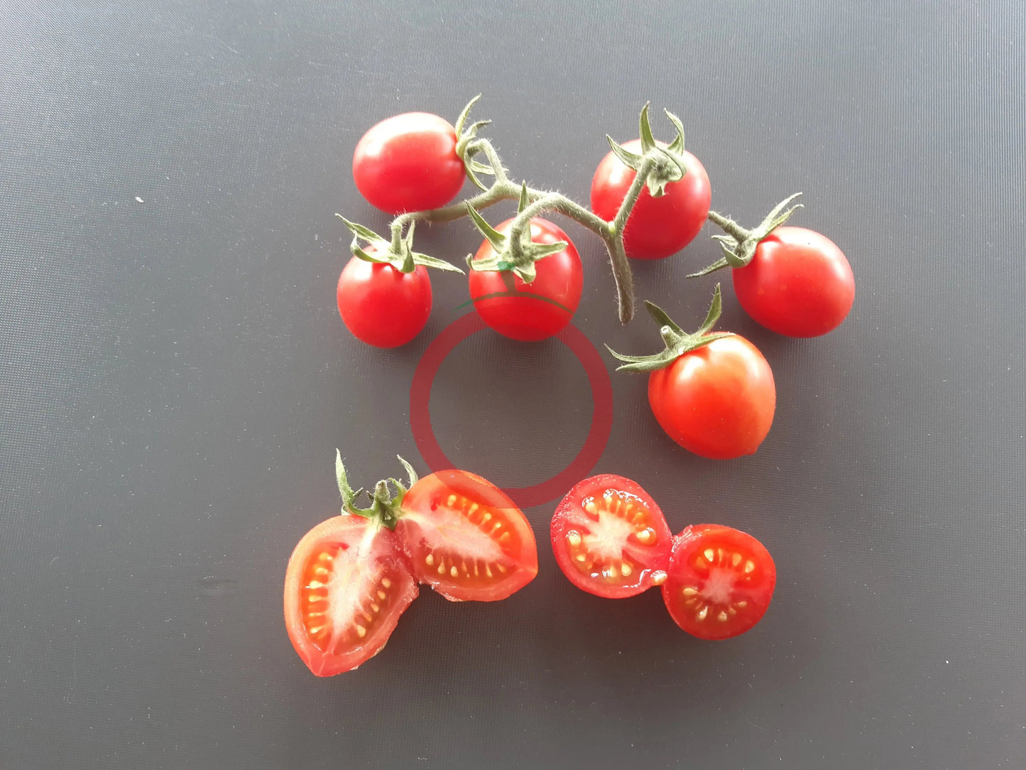 Pomodoro Rosso di Maciano DER TOMATENFLÜSTERER