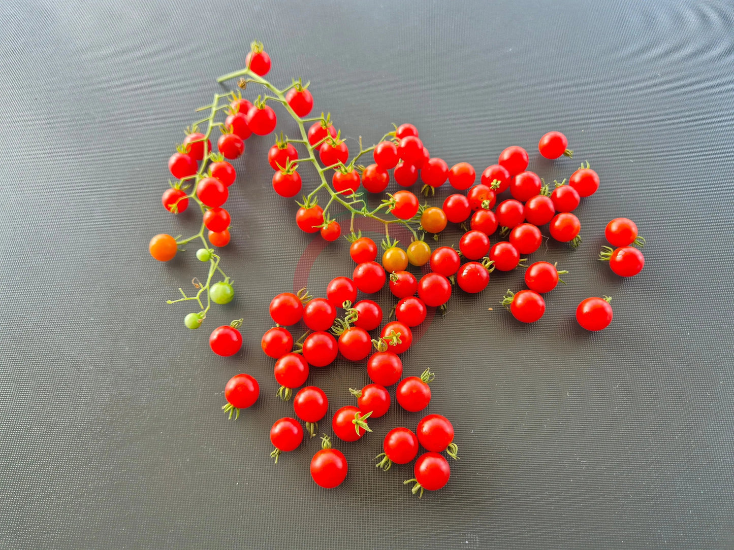Post Office Spoonful DER TOMATENFLÜSTERER