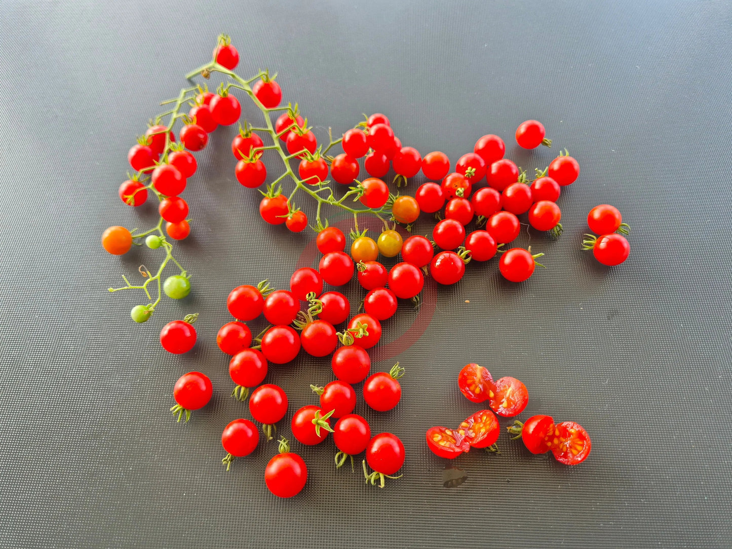 Post Office Spoonful DER TOMATENFLÜSTERER