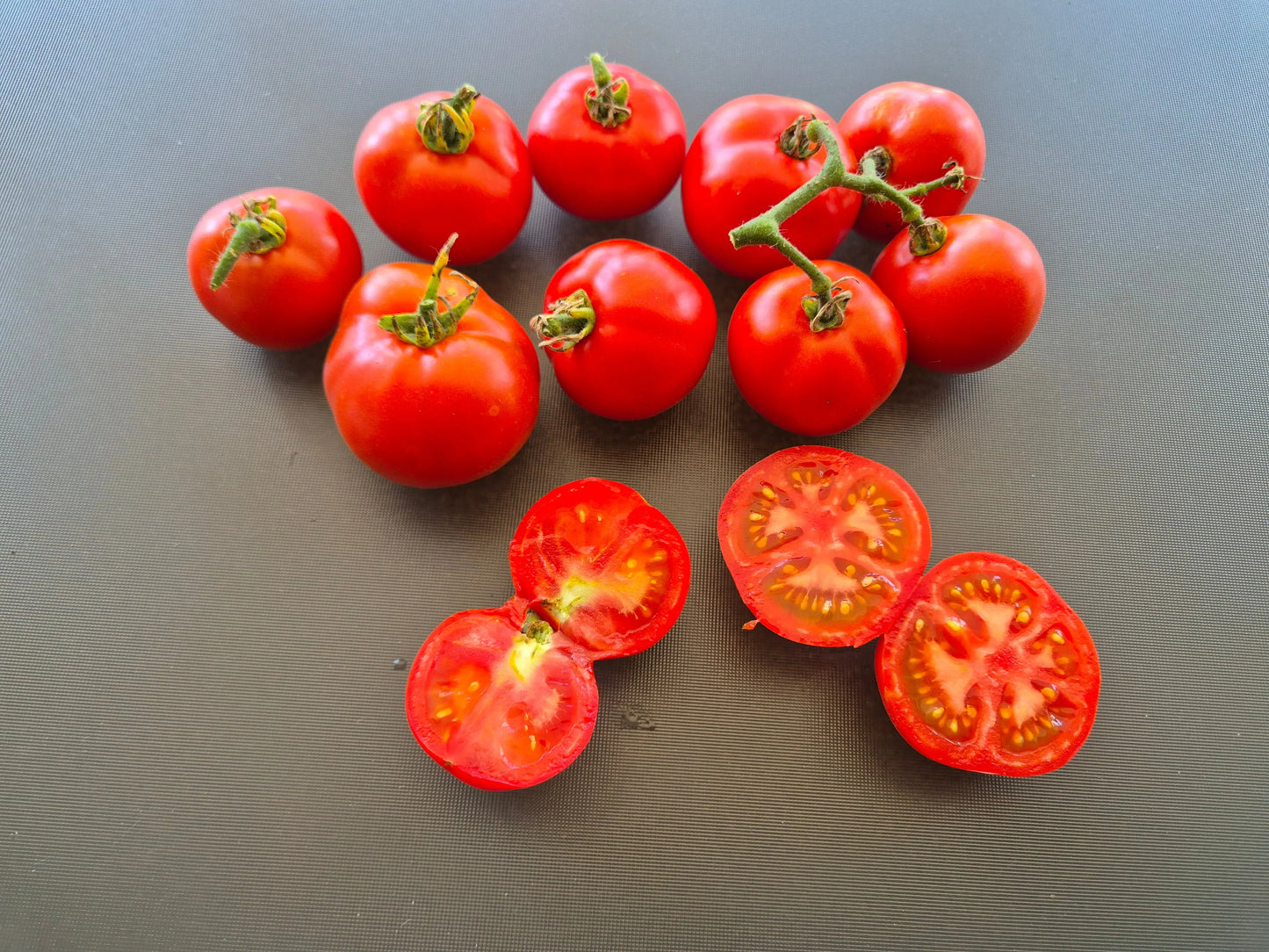 Potager de Vilvorde DER TOMATENFLÜSTERER