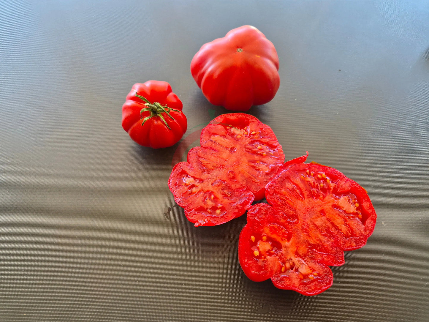 President Garfield DER TOMATENFLÜSTERER