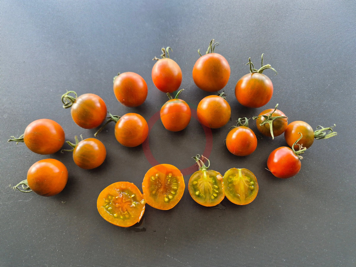 Pumpkin Spice DER TOMATENFLÜSTERER