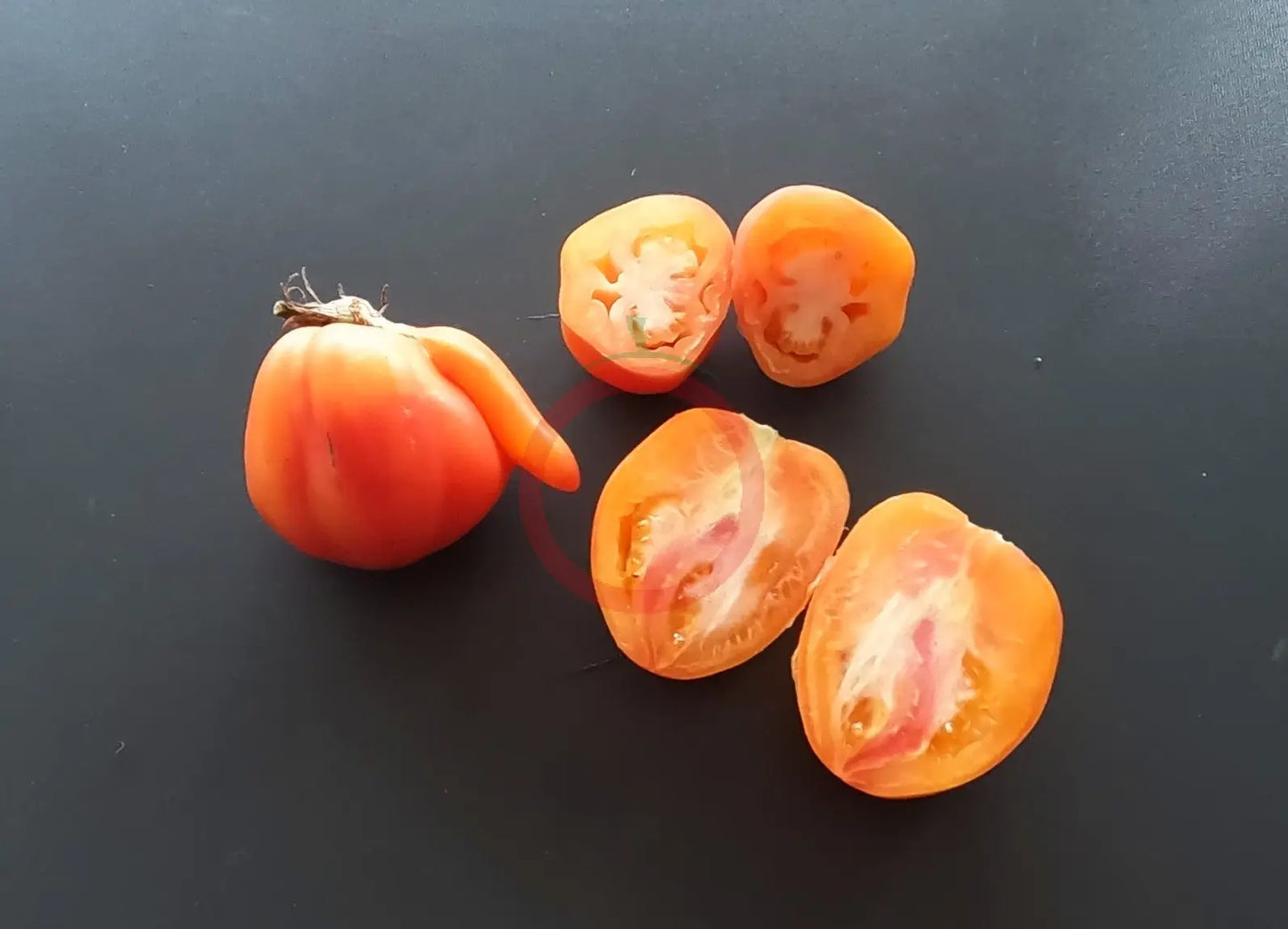 Raduga Vkusa DER TOMATENFLÜSTERER