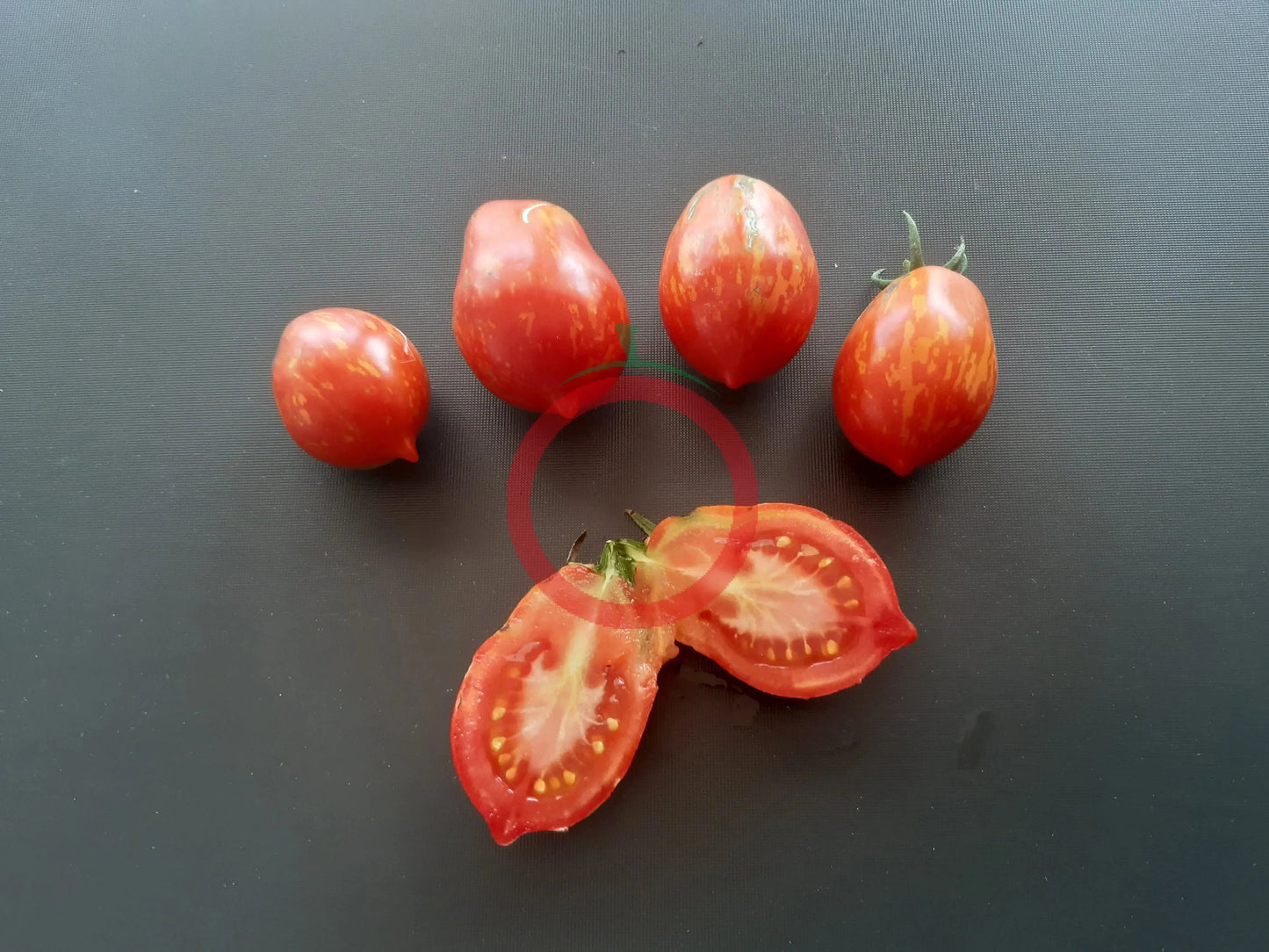 Raibais Kekars DER TOMATENFLÜSTERER