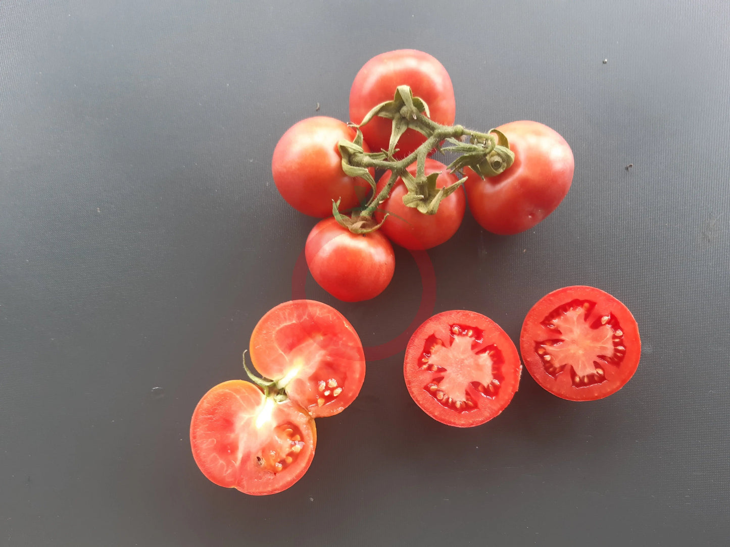 Ramilette DER TOMATENFLÜSTERER