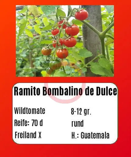 Ramito Bombalino de Dulce DER TOMATENFLÜSTERER