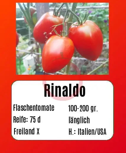Rinaldo DER TOMATENFLÜSTERER