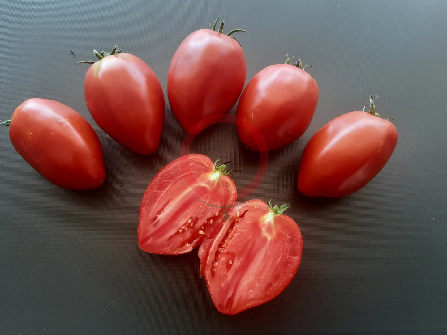 Rinaldo DER TOMATENFLÜSTERER