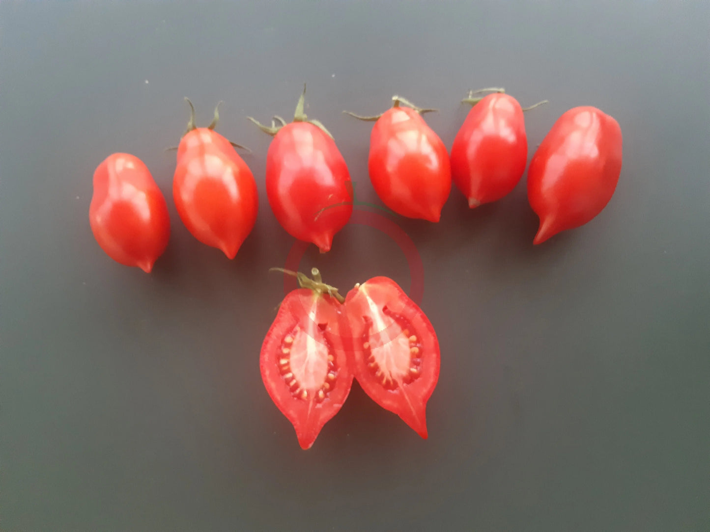 Ropreco Paste DER TOMATENFLÜSTERER