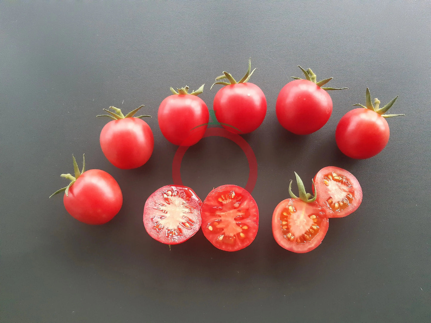 Rosa dell Agro Ericimo DER TOMATENFLÜSTERER