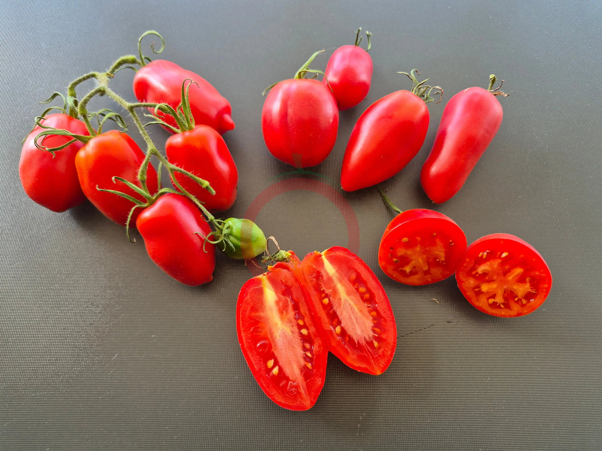 Rote Zora DER TOMATENFLÜSTERER