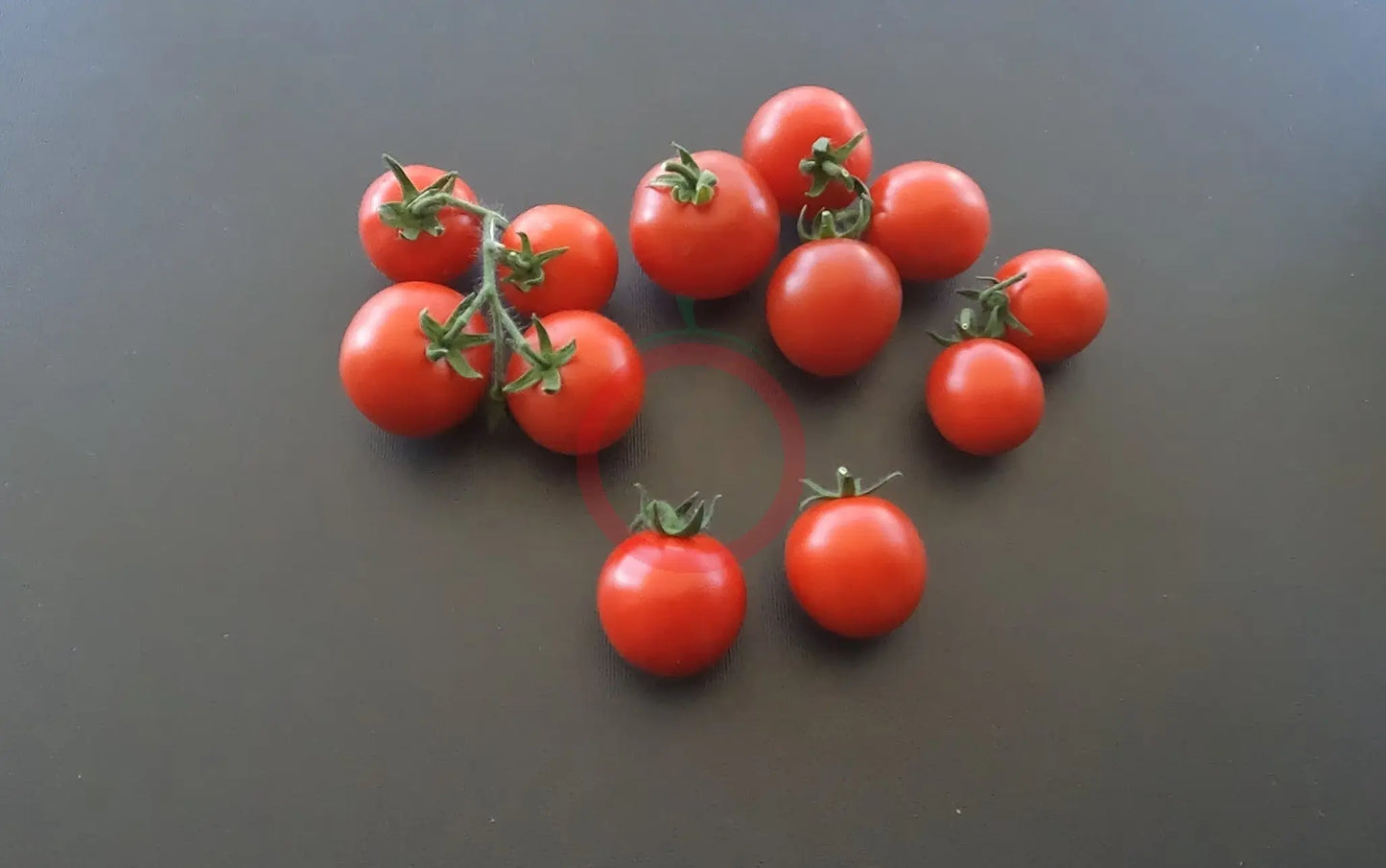 Rotkäppchen DER TOMATENFLÜSTERER