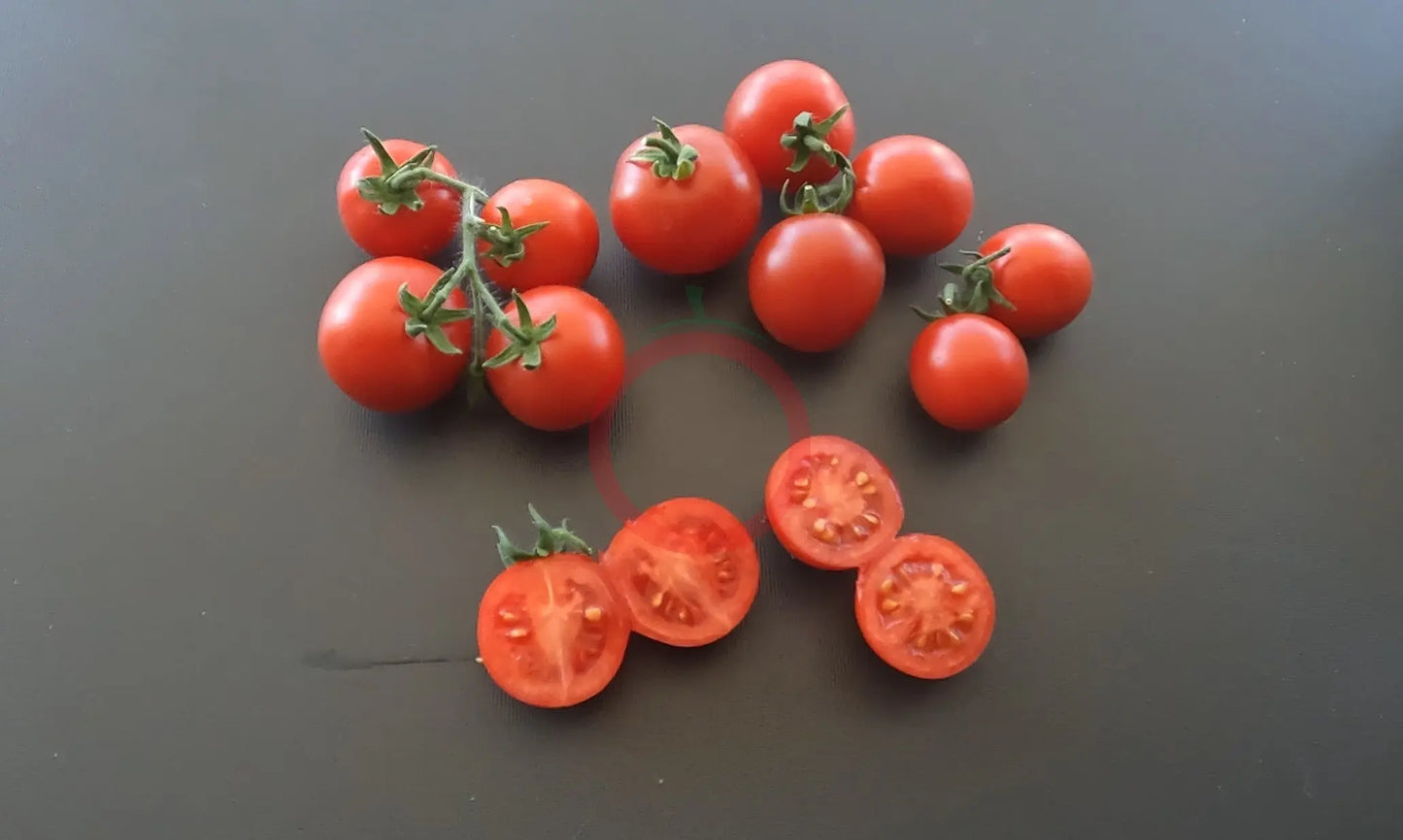 Rotkäppchen DER TOMATENFLÜSTERER