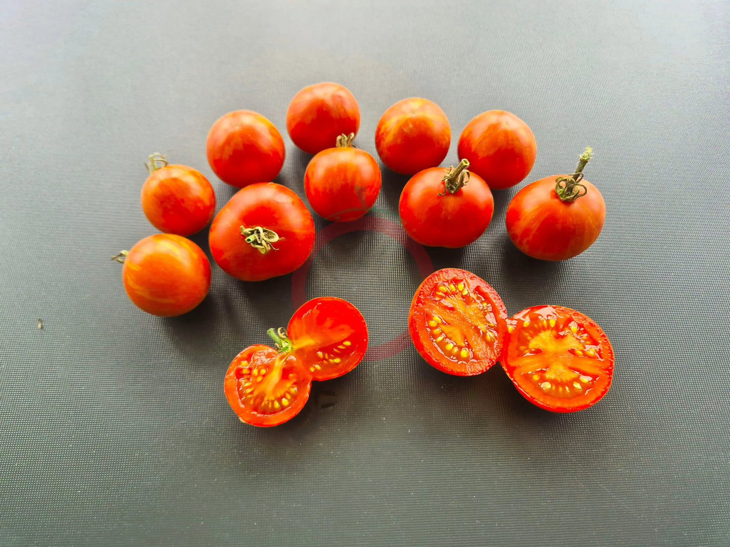Roughwood Golden Tiger DER TOMATENFLÜSTERER