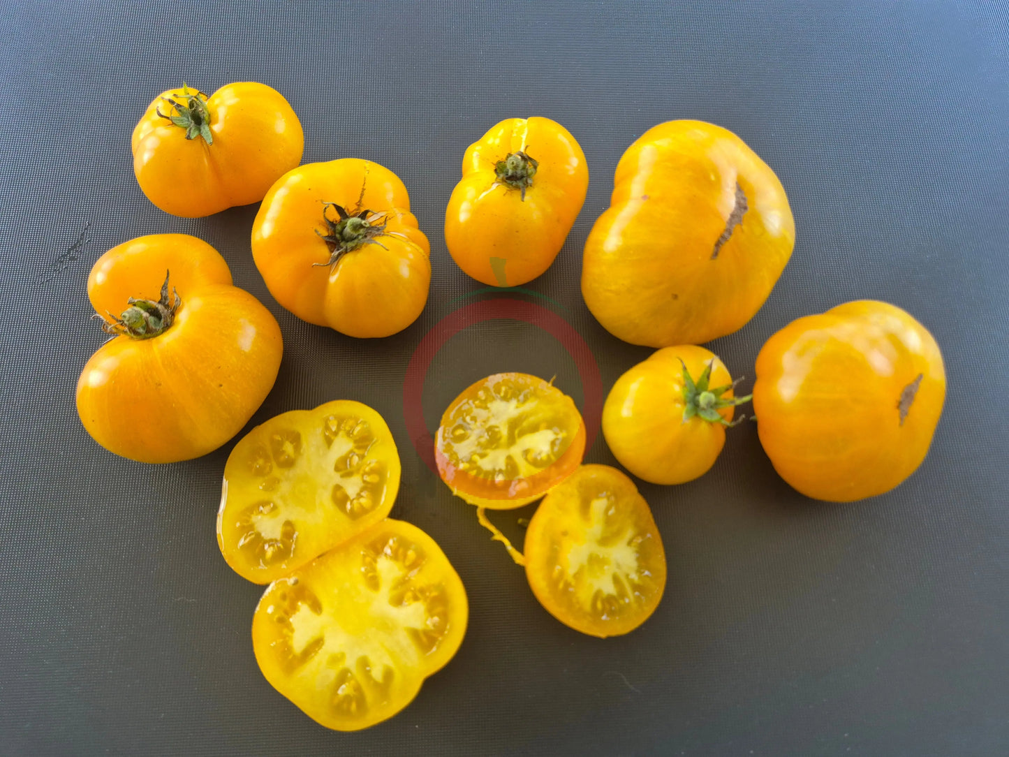 Rumpelstilskin DER TOMATENFLÜSTERER