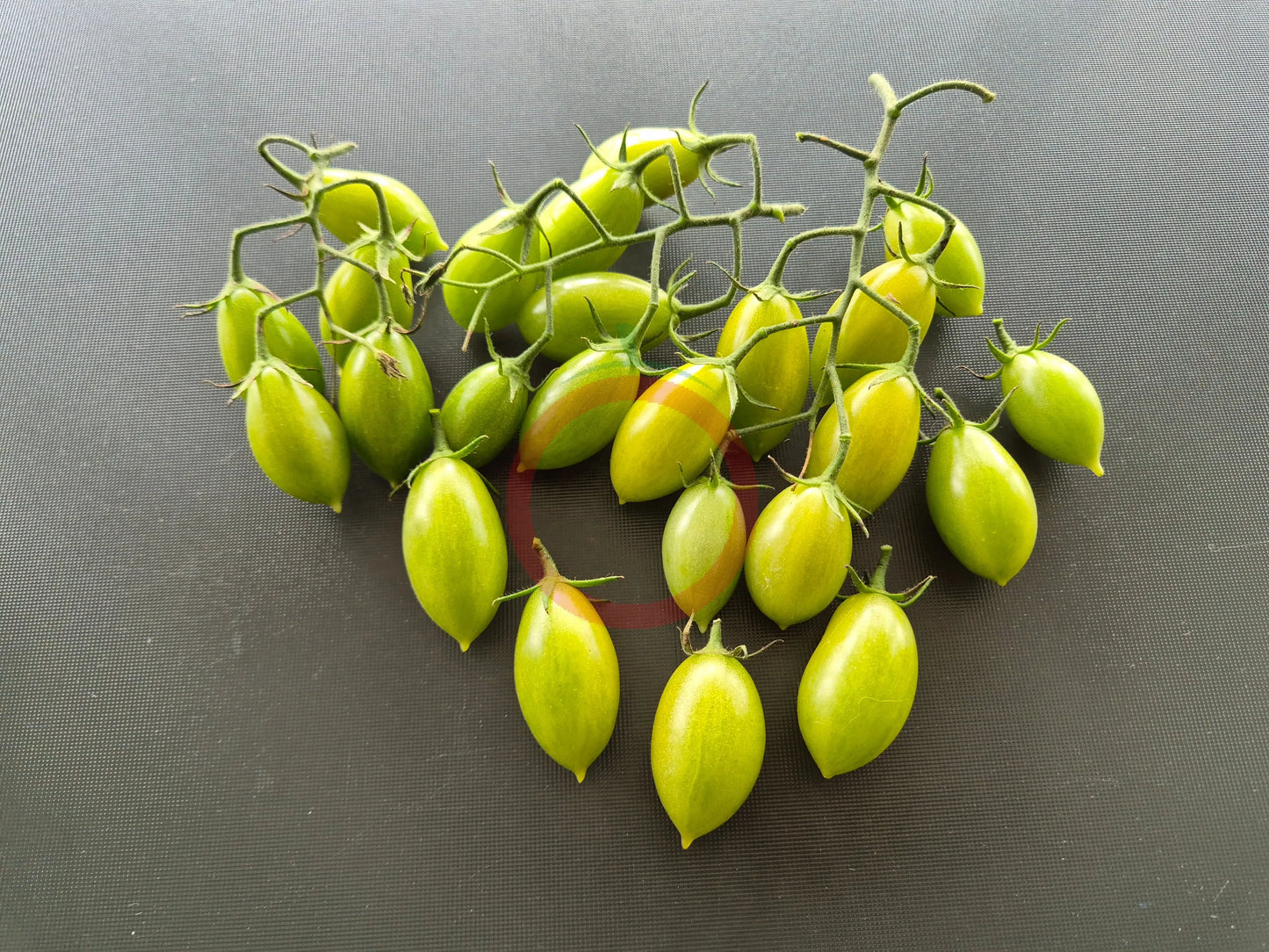 Samocvet Izumrudny DER TOMATENFLÜSTERER