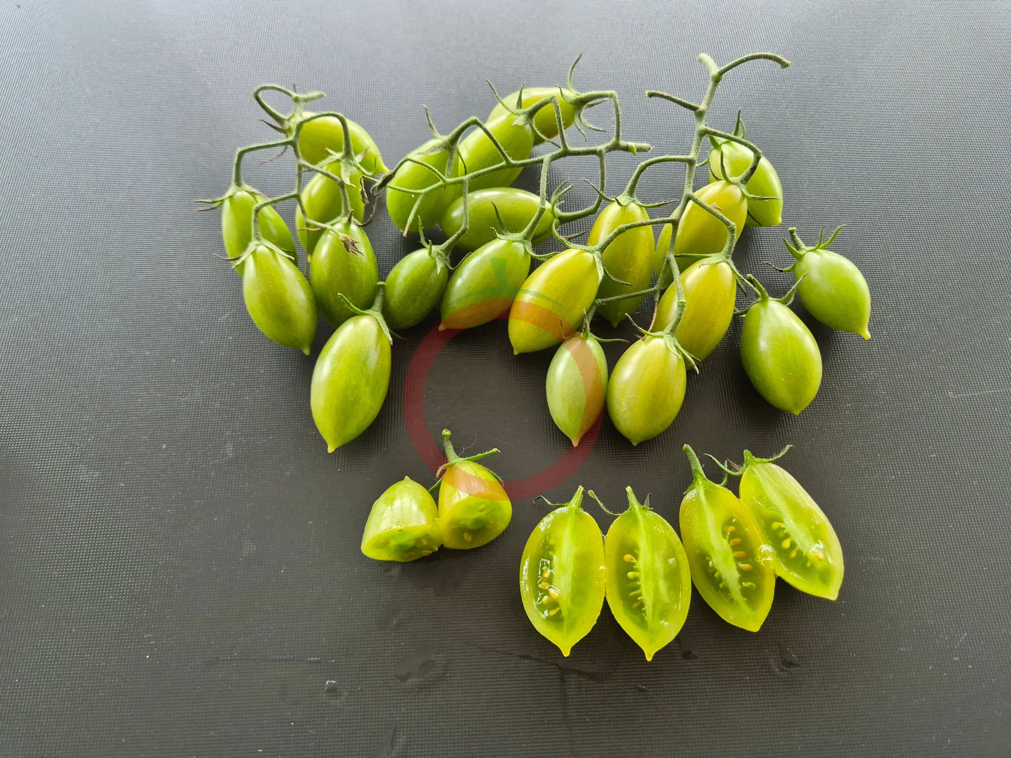 Samocvet Izumrudny DER TOMATENFLÜSTERER