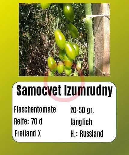 Samocvet Izumrudny DER TOMATENFLÜSTERER
