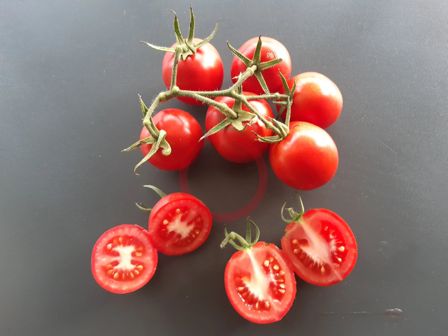 Santa Cruz DER TOMATENFLÜSTERER