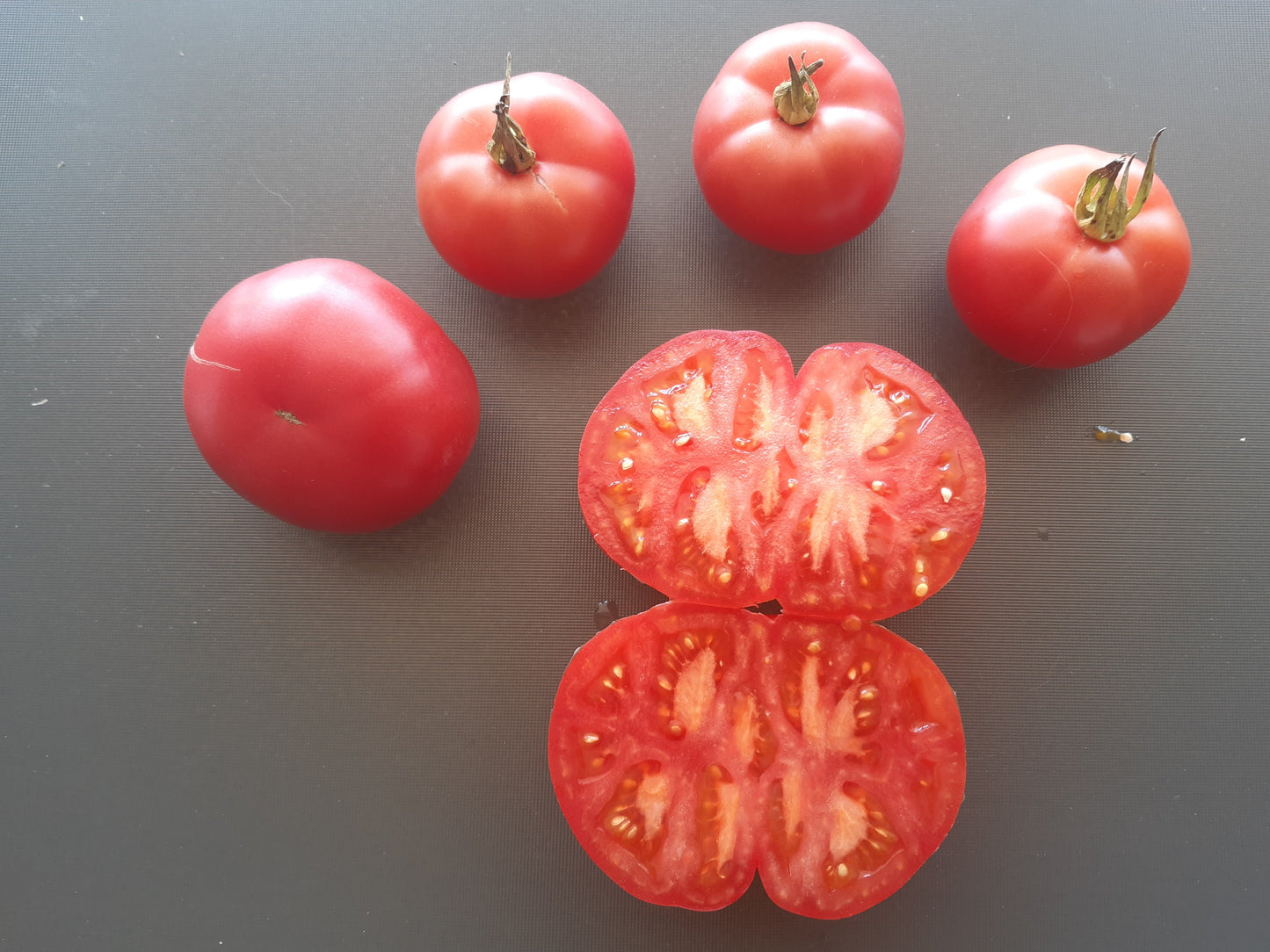 Saranda DER TOMATENFLÜSTERER