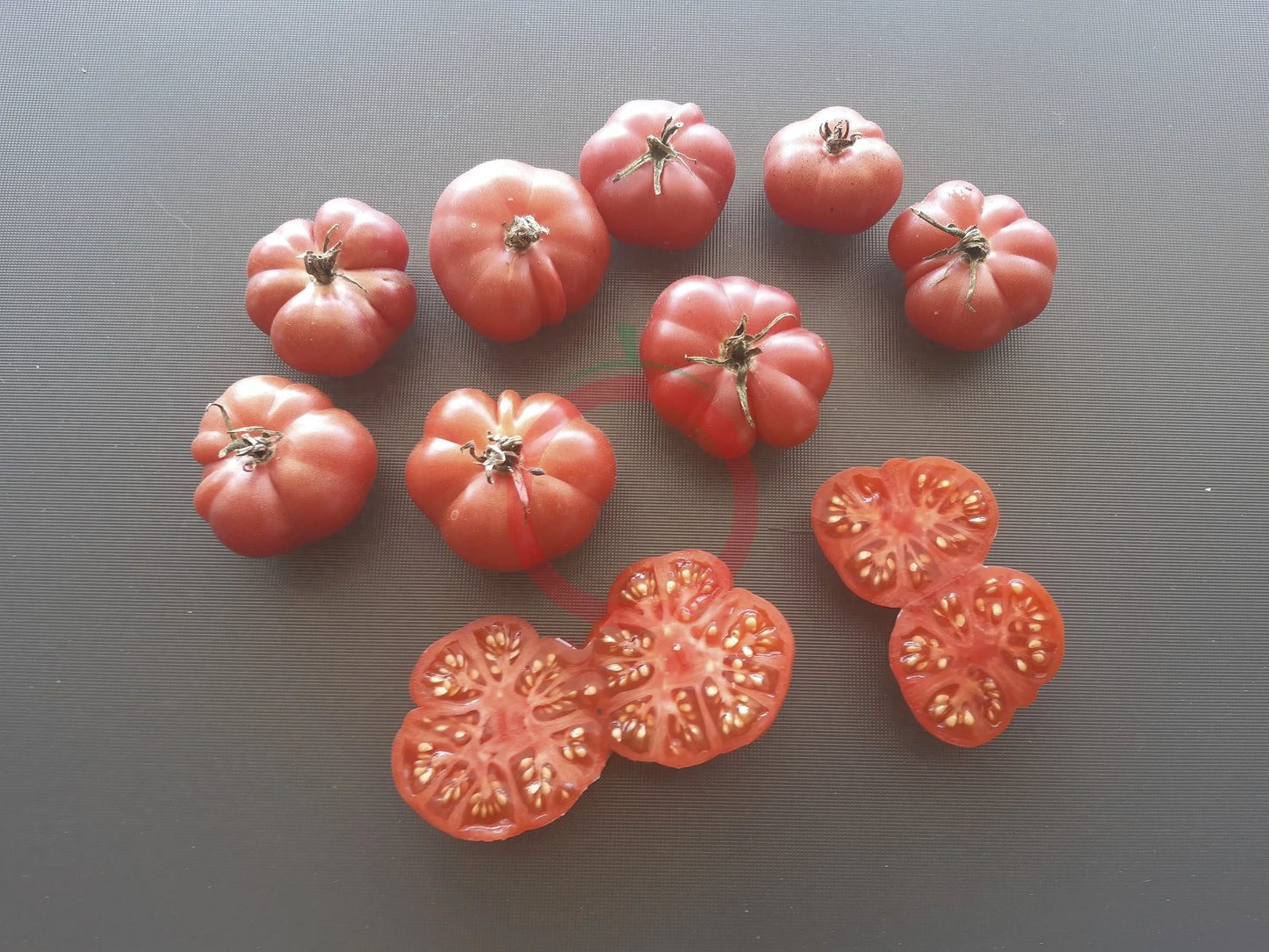 Savan Bali DER TOMATENFLÜSTERER