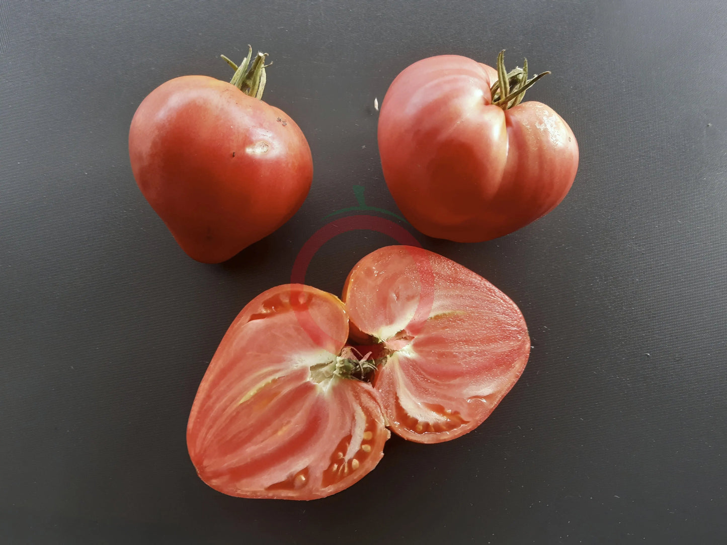 Sayanogorskie DER TOMATENFLÜSTERER