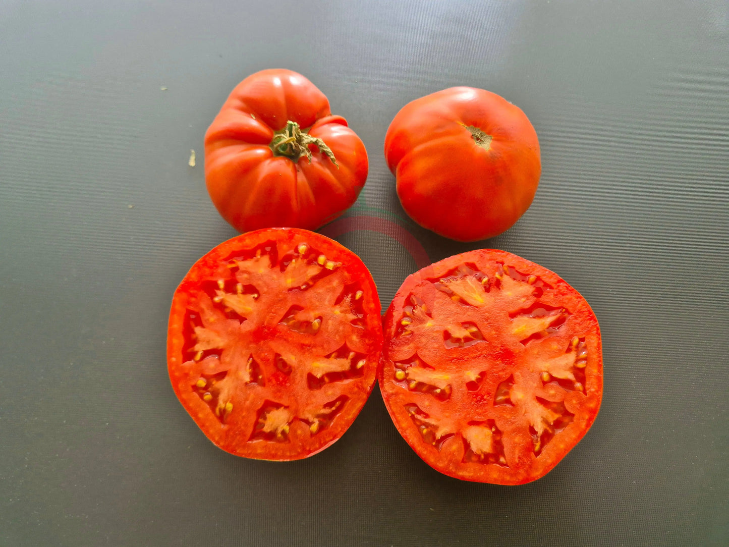 Scorpio DER TOMATENFLÜSTERER