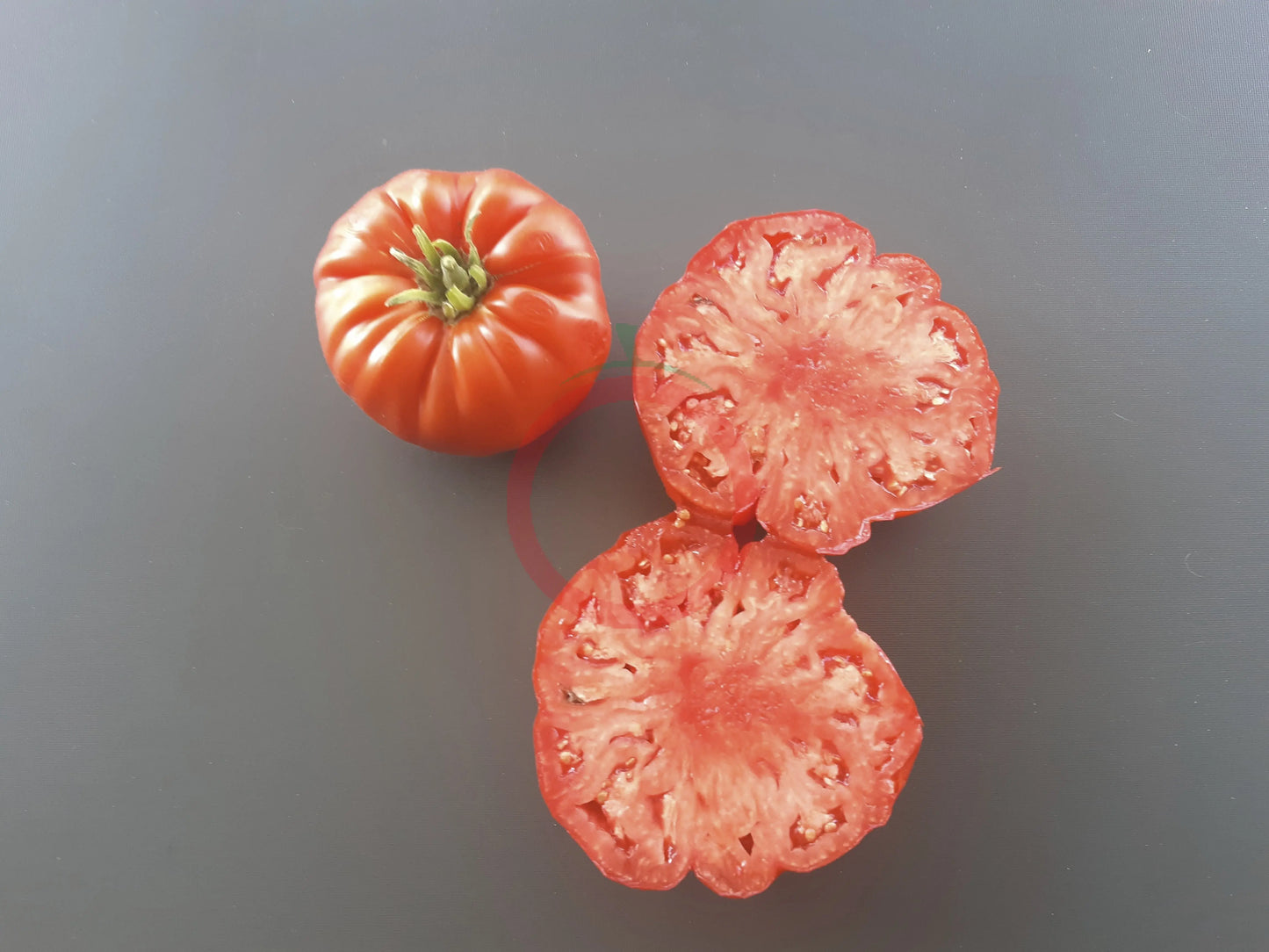 Sicilian Saucer DER TOMATENFLÜSTERER