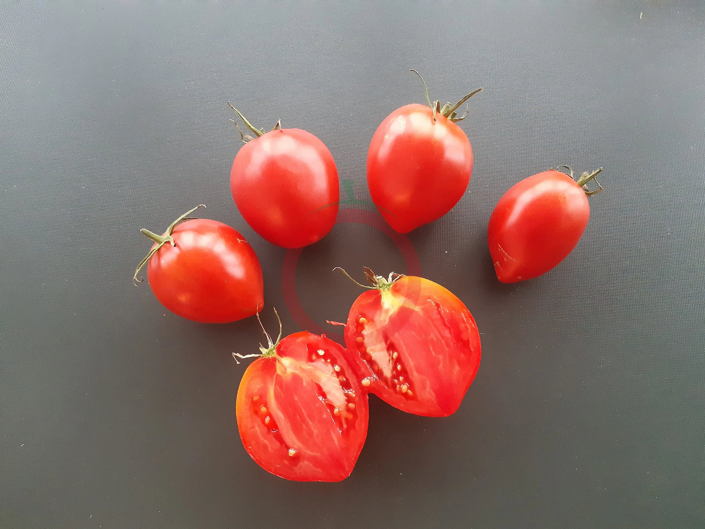 Skariai DER TOMATENFLÜSTERER