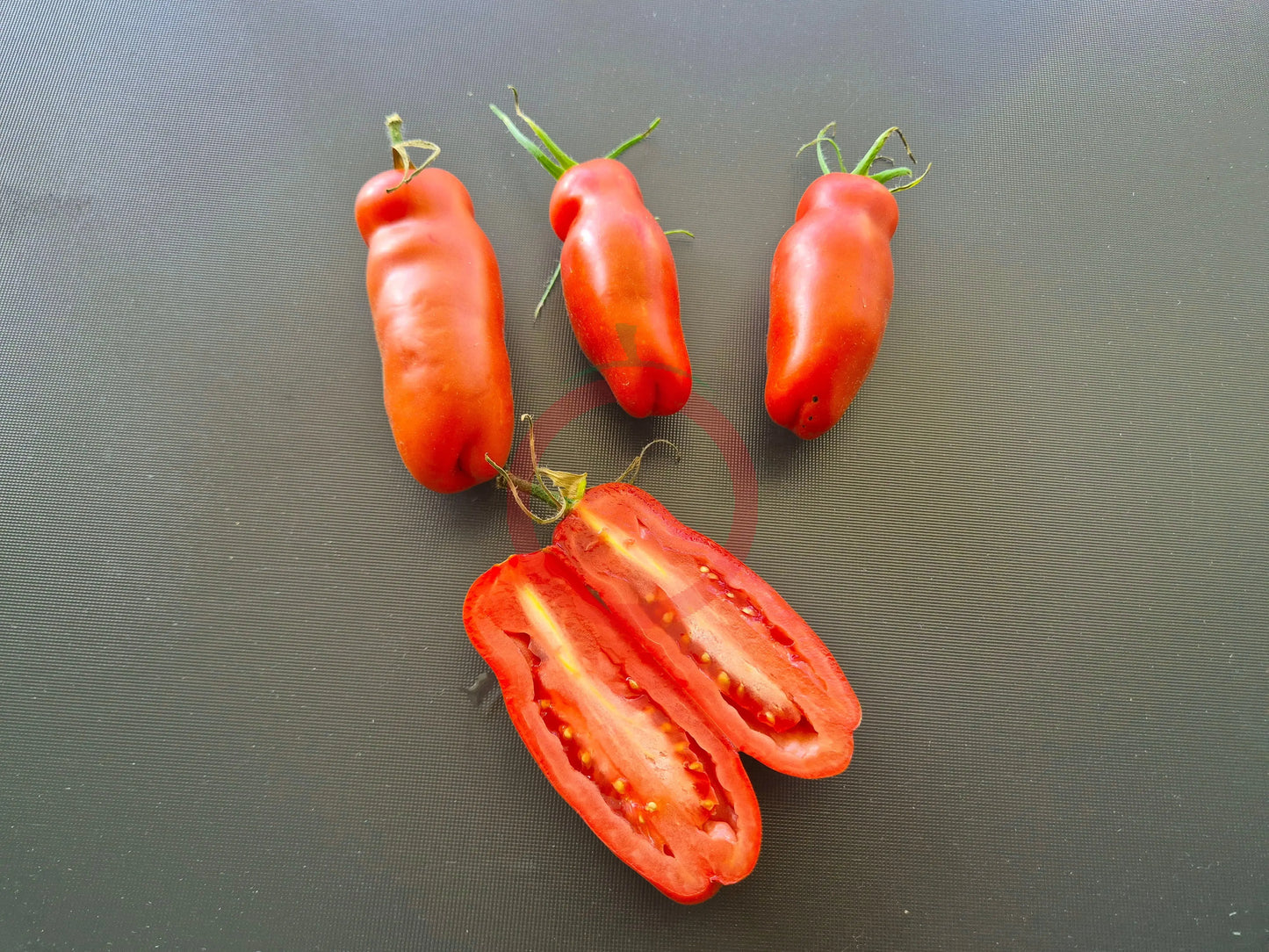 Smiley Worms DER TOMATENFLÜSTERER