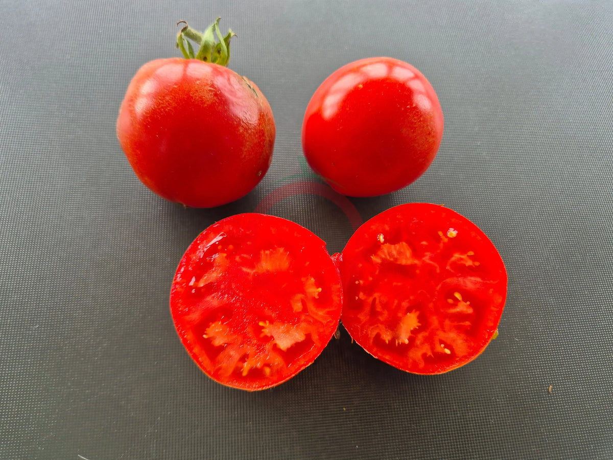 Sophie´s Choice DER TOMATENFLÜSTERER