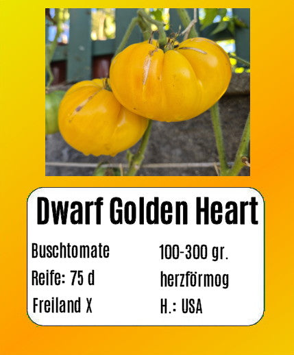 Sortenset Balkontomaten 2025 DER TOMATENFLÜSTERER