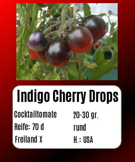 Sortenset Bunte Cocktailtomaten 2025 DER TOMATENFLÜSTERER