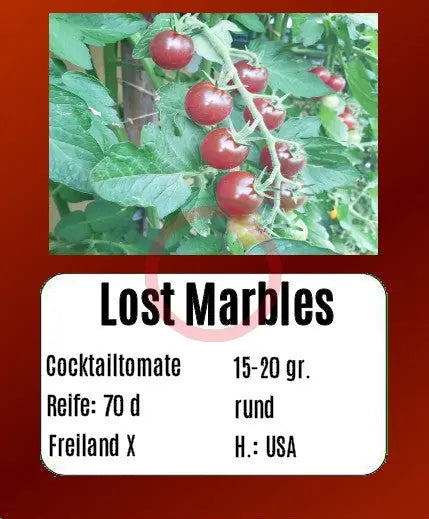 Sortenset Bunte Cocktailtomaten DER TOMATENFLÜSTERER
