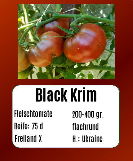 Sortenset Bunte Fleischtomaten 2025 DER TOMATENFLÜSTERER