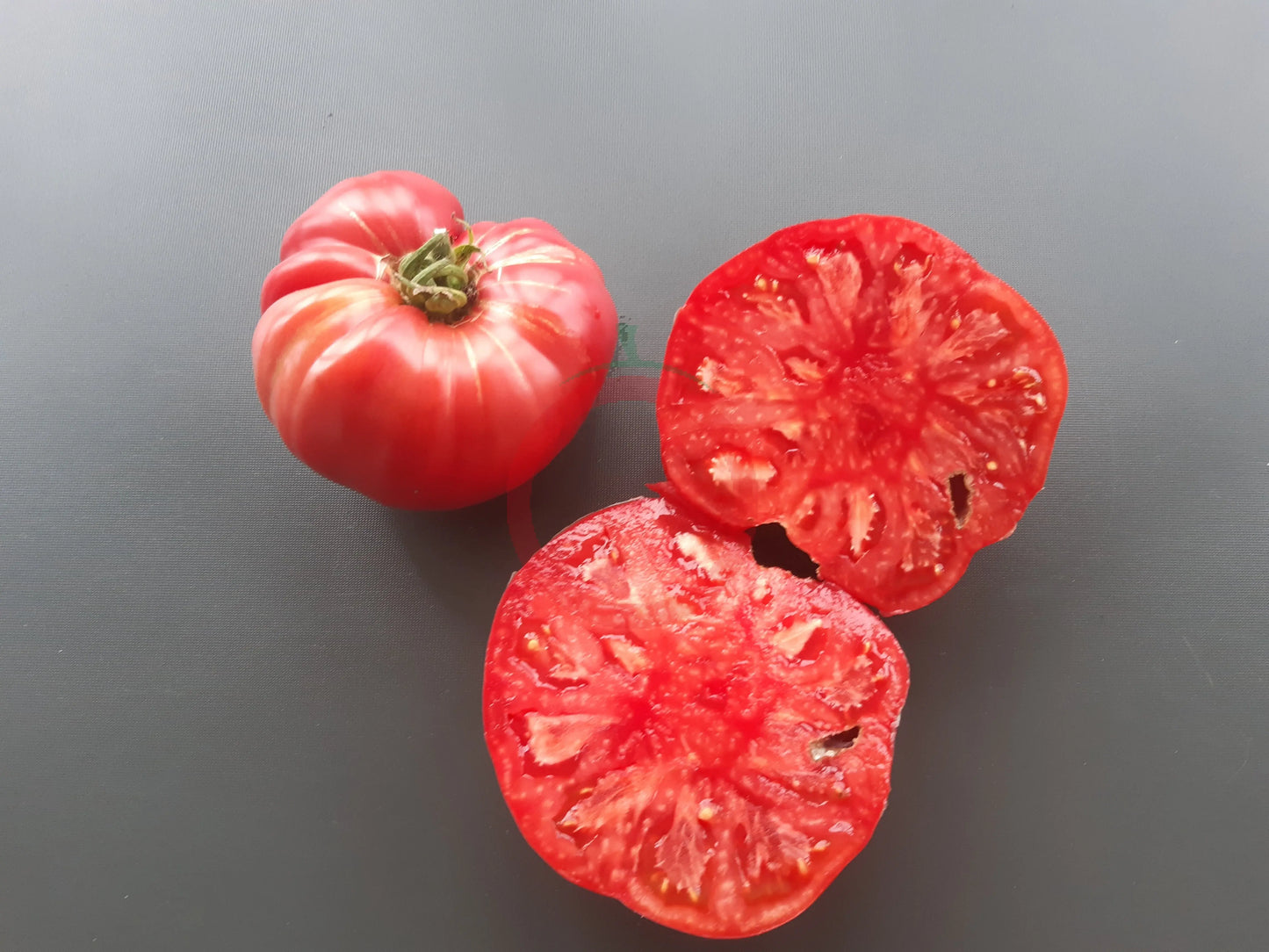 Sperm Whale Kashalot DER TOMATENFLÜSTERER