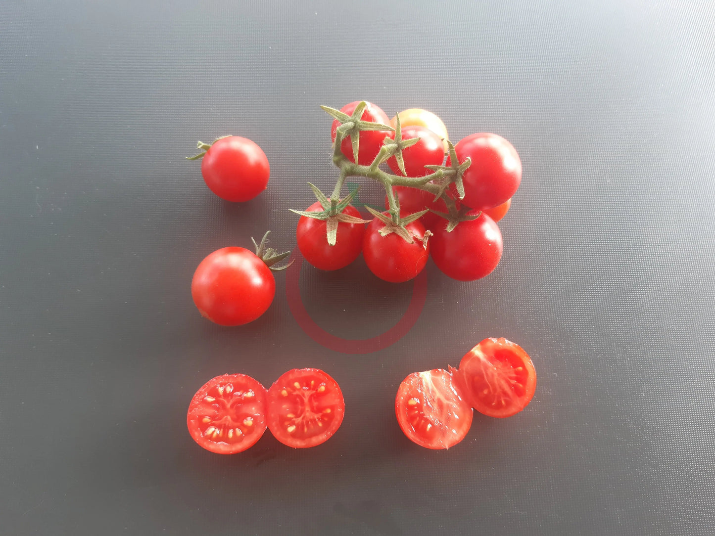 Spunky Bird DER TOMATENFLÜSTERER