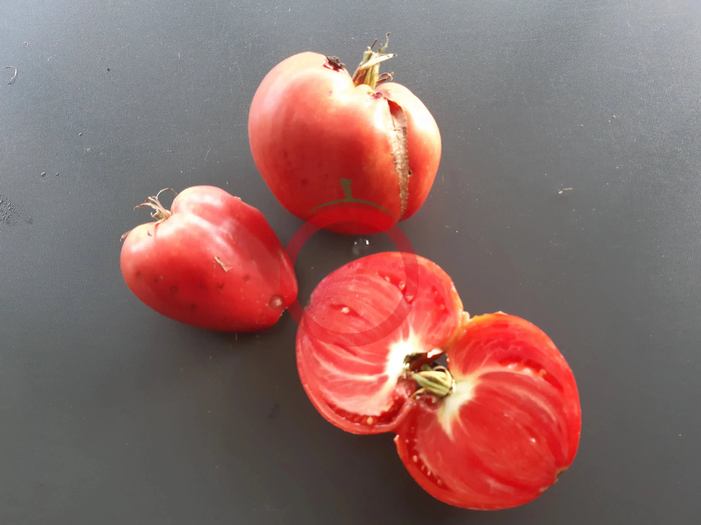 Sterling Old Norway DER TOMATENFLÜSTERER