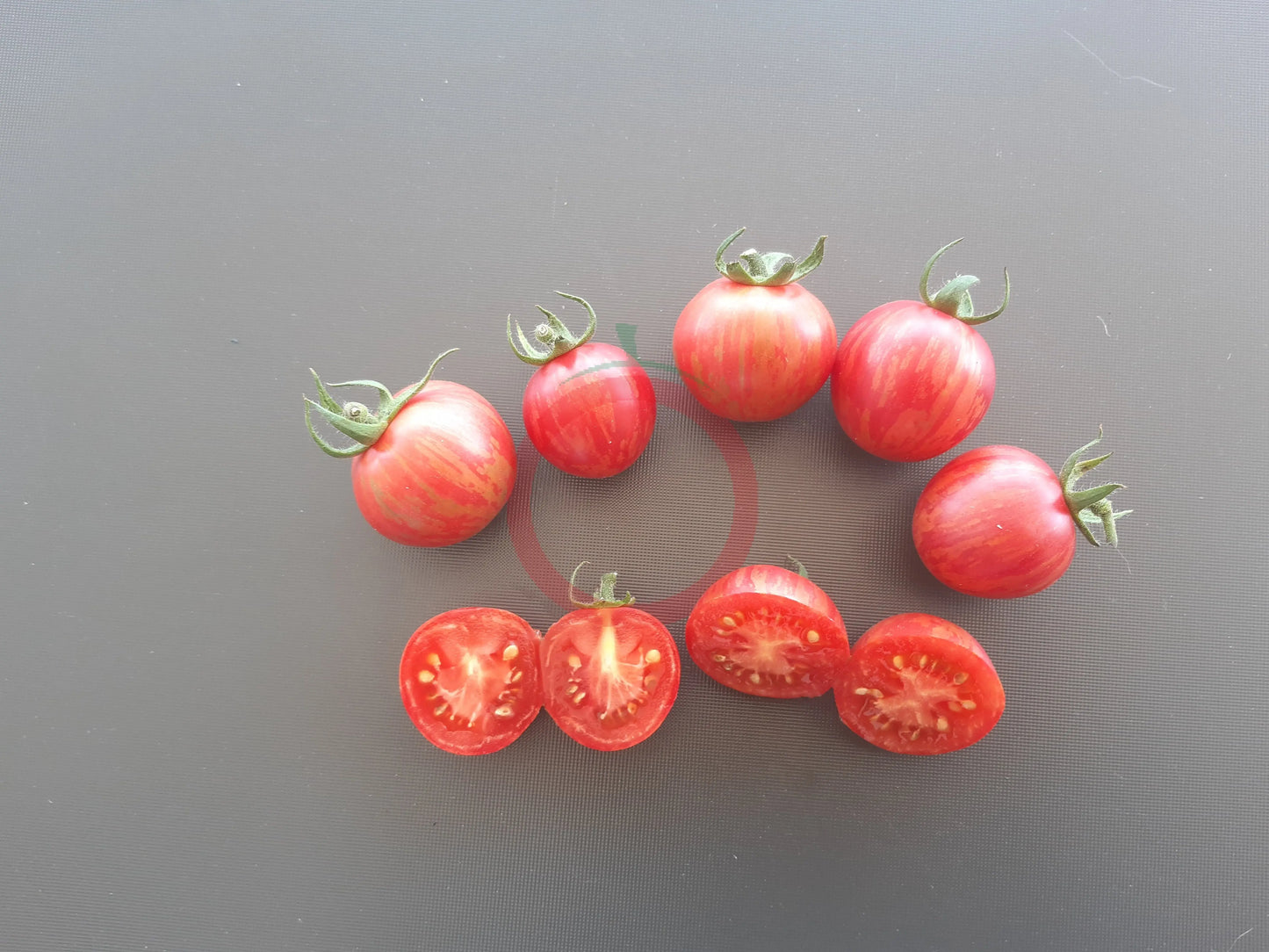 Strawberry Tiger DER TOMATENFLÜSTERER