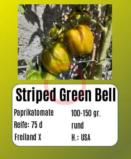 Striped Green Bell DER TOMATENFLÜSTERER