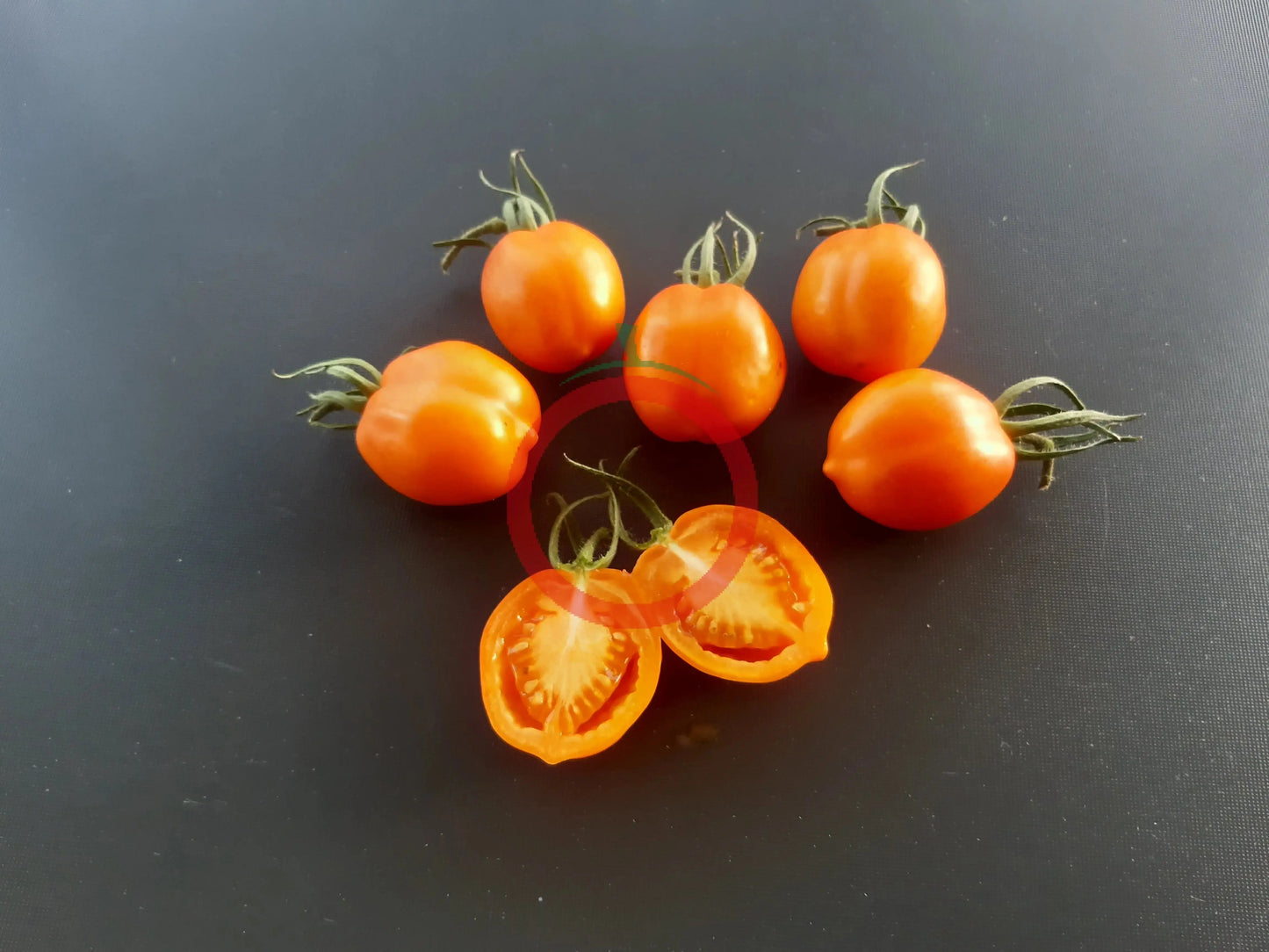 Susong Kalabaw DER TOMATENFLÜSTERER