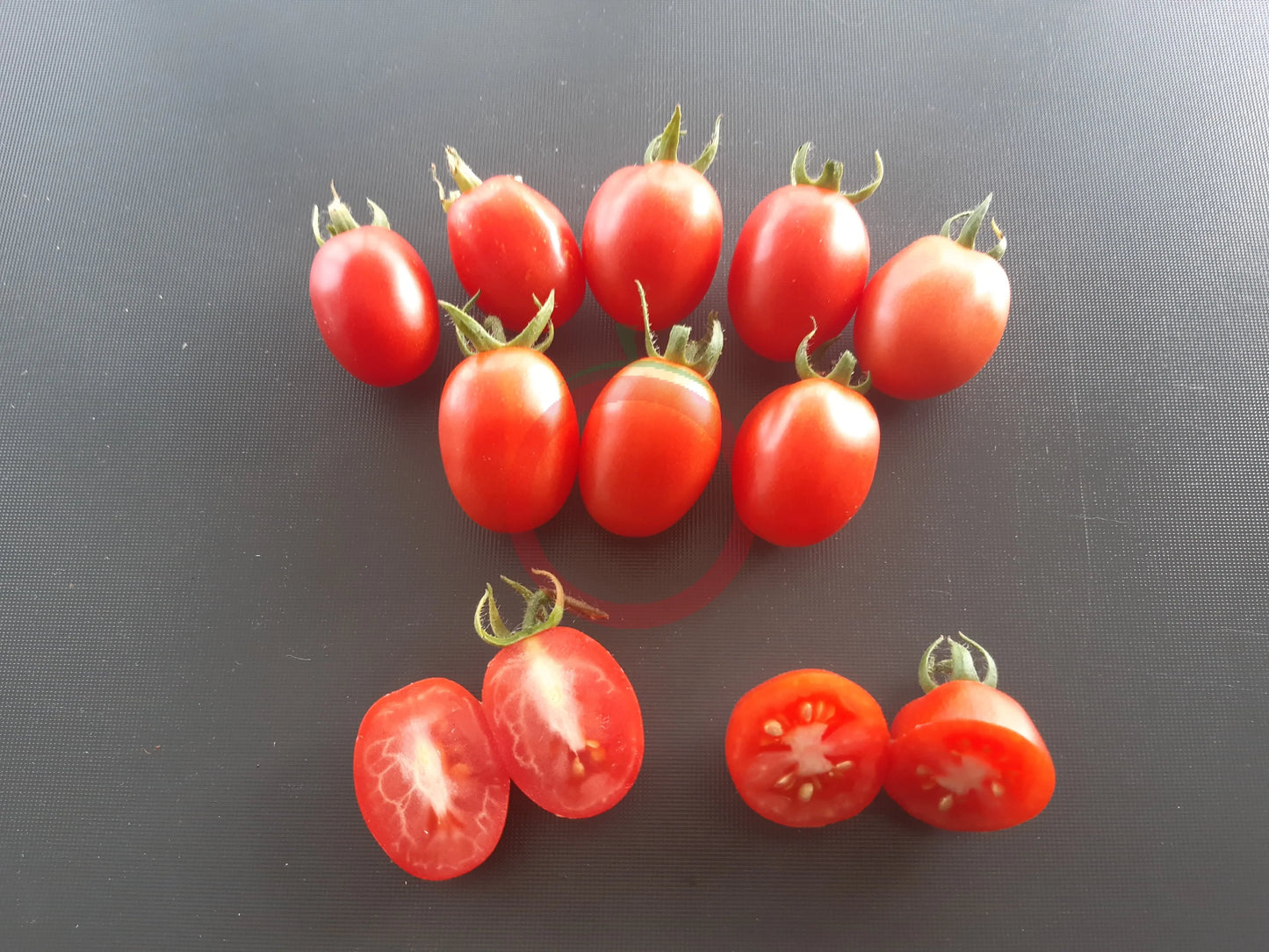 Swan´s Fluff DER TOMATENFLÜSTERER